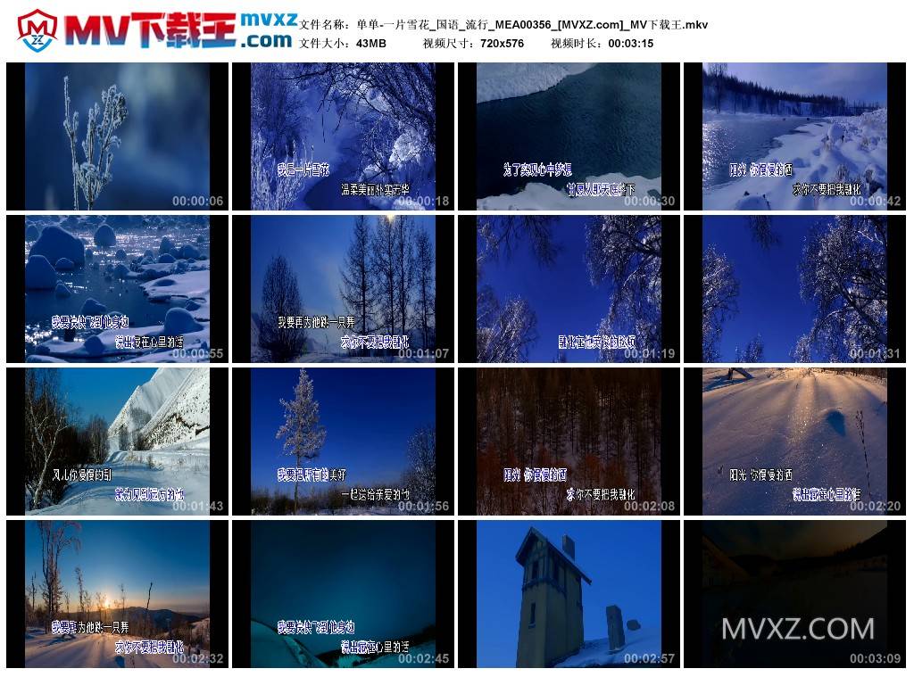 单单-一片雪花_国语_流行_MEA00356